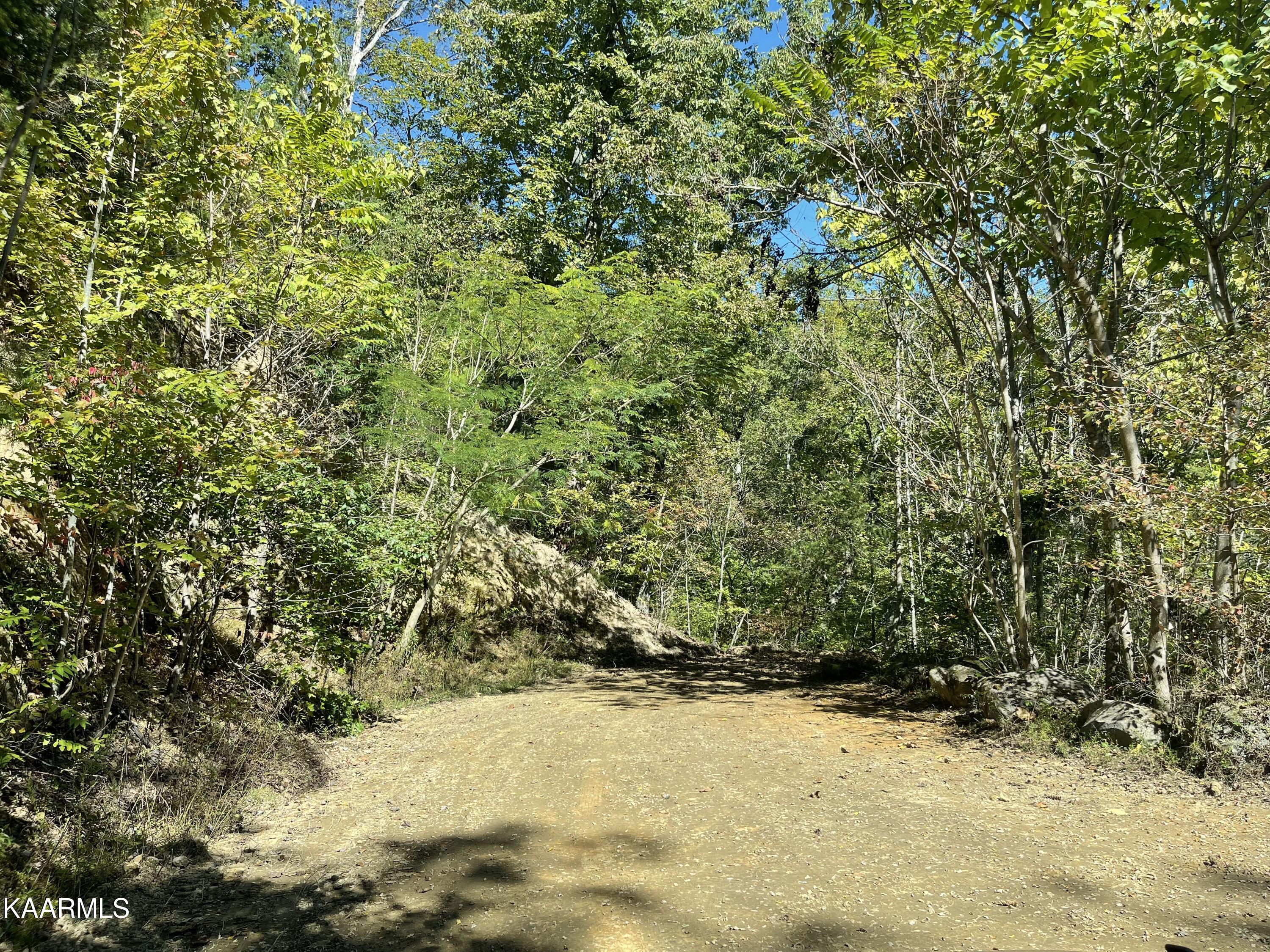 Cove Hollow Road Cosby, TN 37722 - Photo 10 of 12 Photo 3