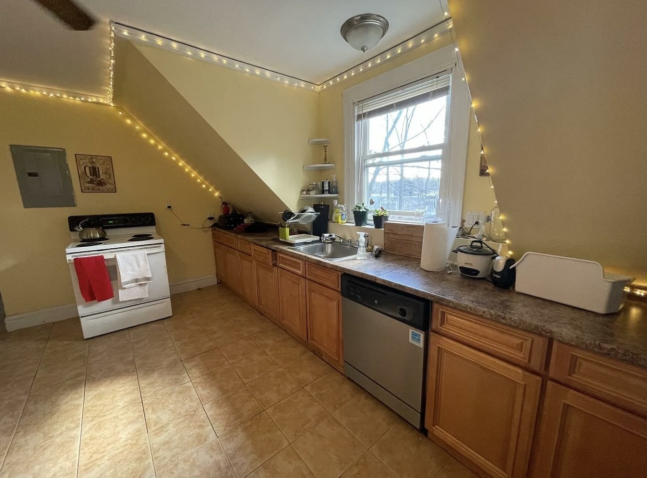 155 Kilsyth Road, Unit 2 Boston, MA 02135 - Photo 3 of 15 Gallery Image 3