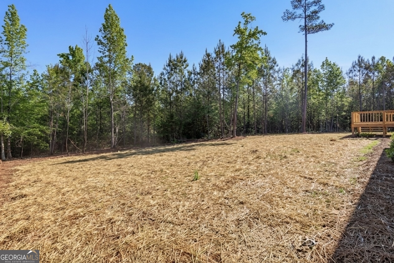 3741 Triune Mill Road Thomaston, GA 30286 - Photo 31 of 32