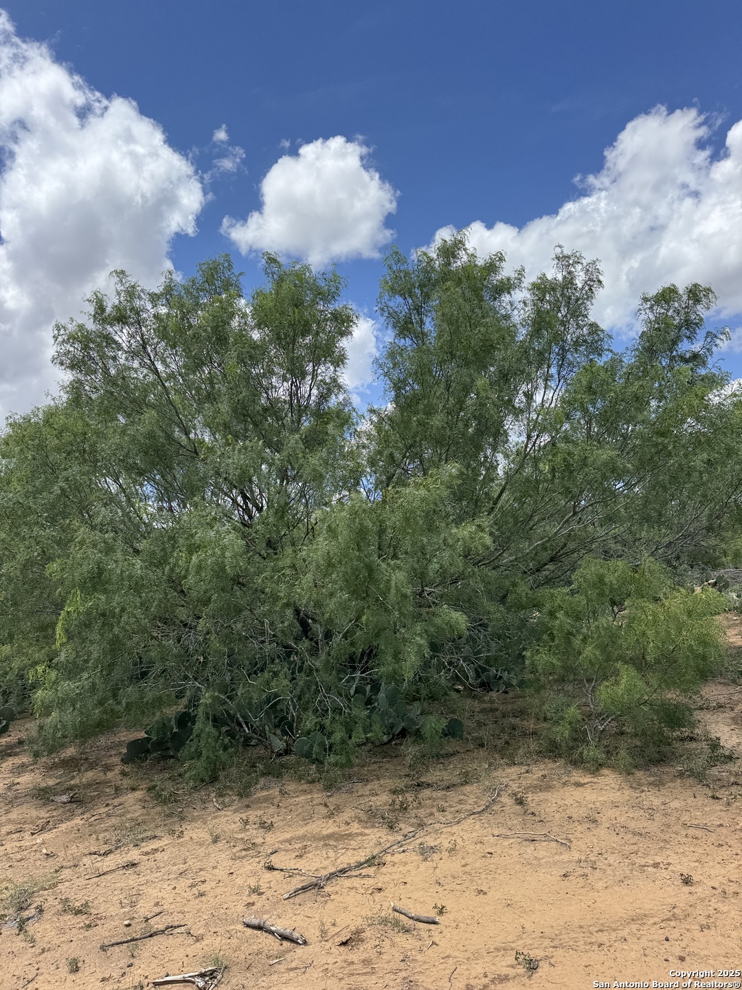 2 Windmill Ranchettes Cr 329 Pleasanton, TX 78064 - Photo 2 of 5 a view of a yard