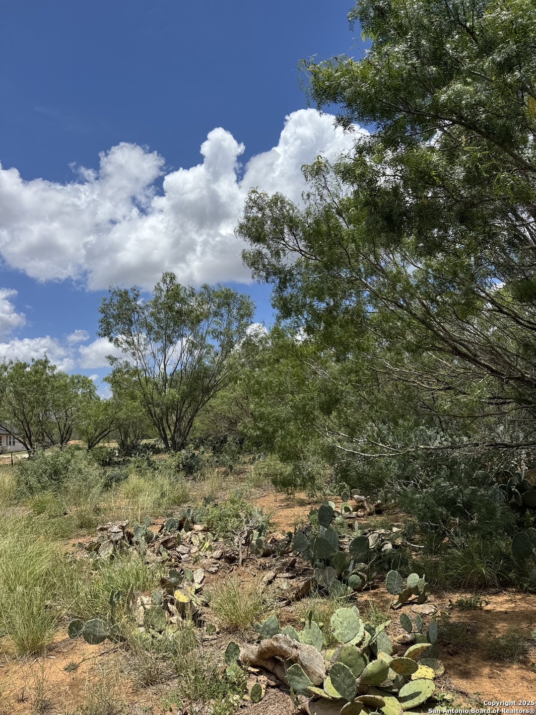 2 Windmill Ranchettes Cr 329 Pleasanton, TX 78064 - Photo 4 of 5 a view of a bunch of trees in a field
