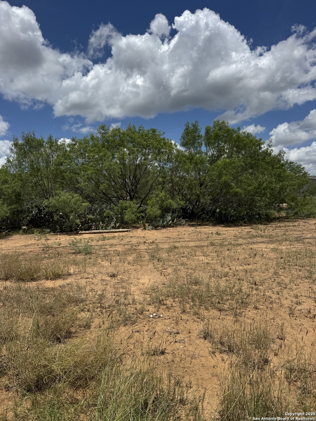 2 Windmill Ranchettes Cr 329 Pleasanton, TX 78064 - Photo 5 of 5