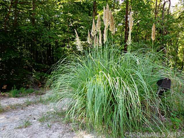 2279 Capps Road York, SC 29745 - Photo 15 of 16 Gallery Image 15