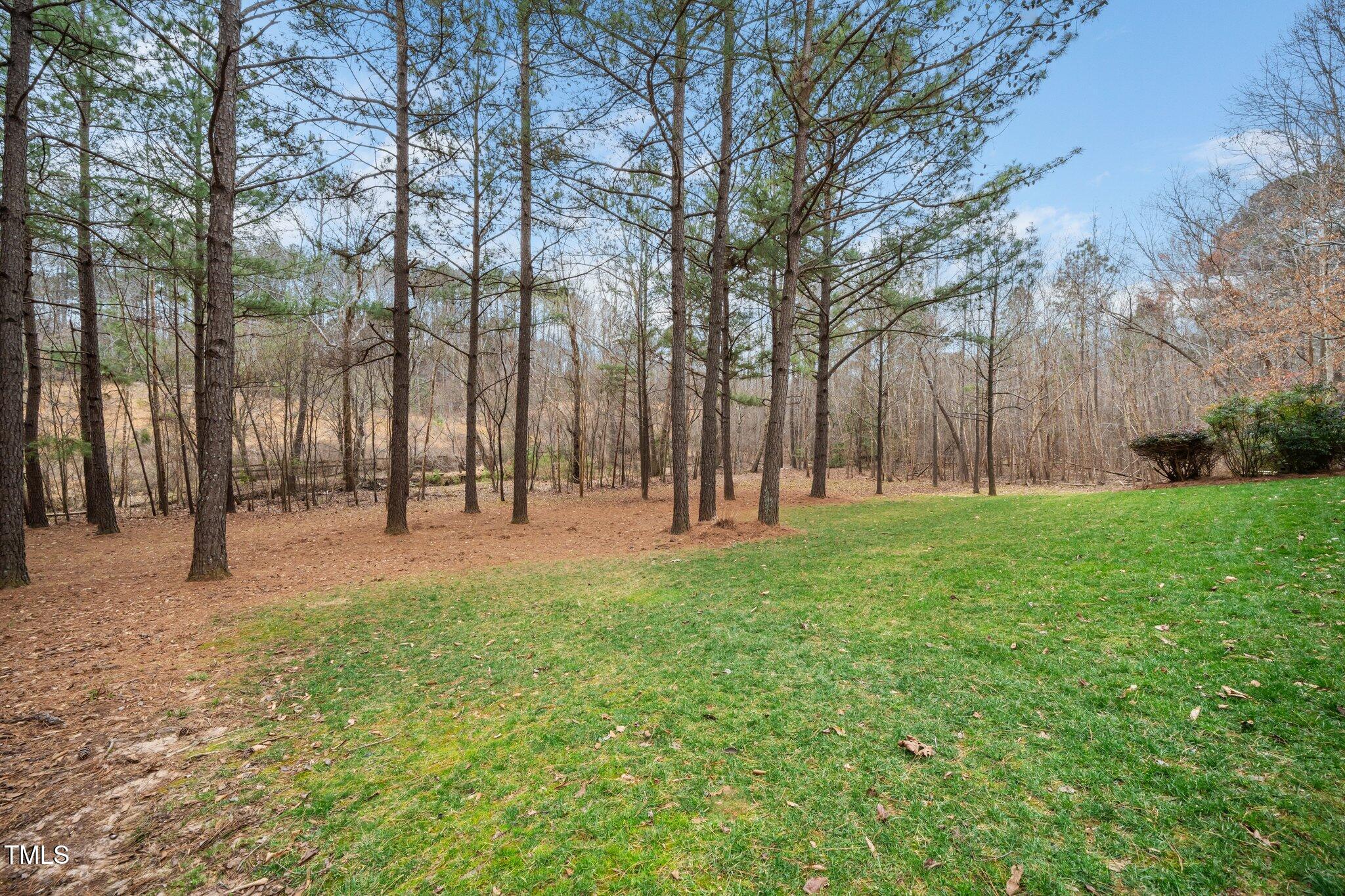 7001 Millstone Ridge Court Raleigh, NC 27614 - Photo 54 of 54 55-web-or-mls-7001 Millstone (296 of 330