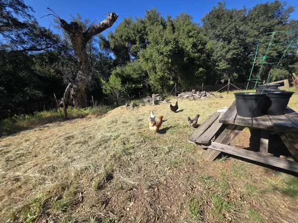 $429,000 | 1524 Potrero Circle, Potrero, CA 91963