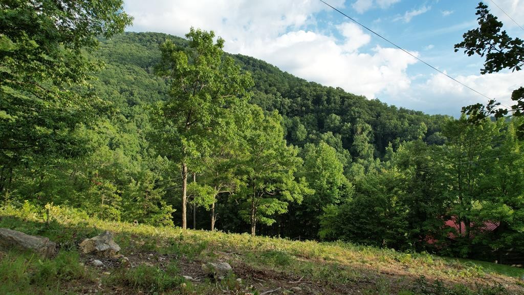 0 Trapper John Way Sevierville, TN 37862 - Photo 1 of 18