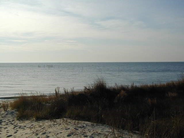 0 Nottingham Ridge Lane, Unit 3A Cape Charles, VA 23310 - Photo 2 of 8