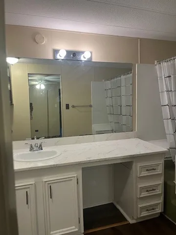 a bathroom with a sink and a mirror