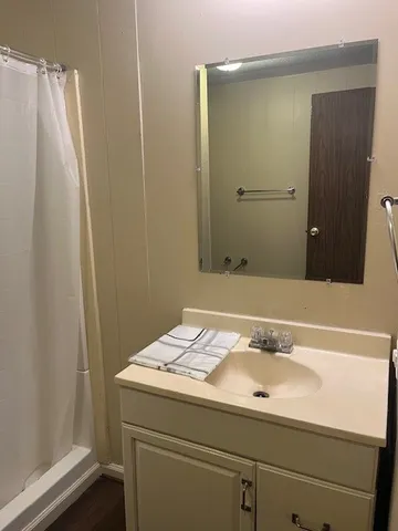 a bathroom with a sink and a mirror