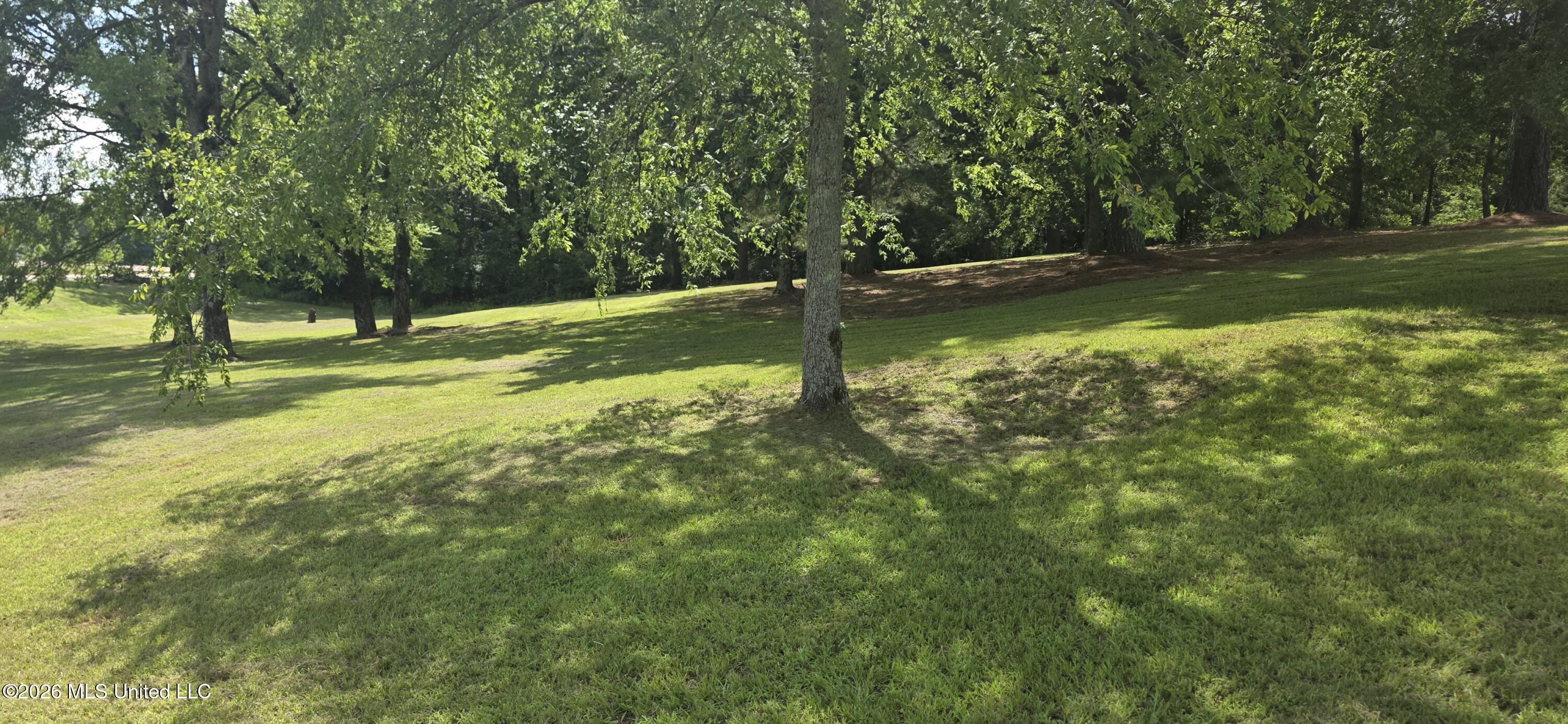 180 Stonewall Road Byhalia, MS 38611 - Photo 16 of 73 20260613_155053