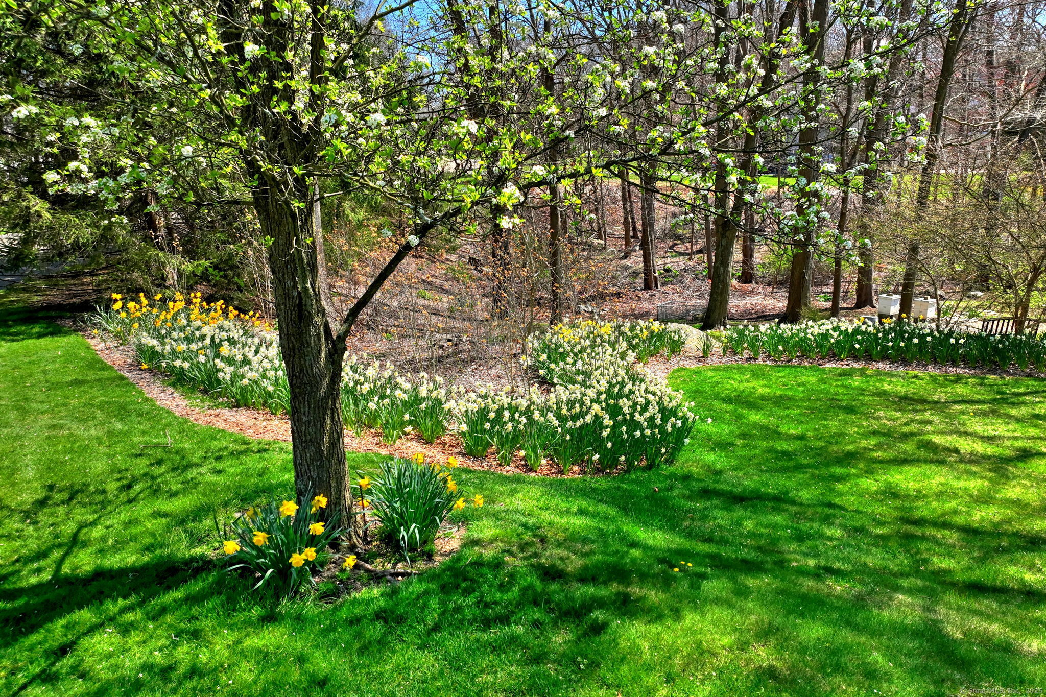 920 Green Circle Orange, CT 06477 - Photo 4 of 40