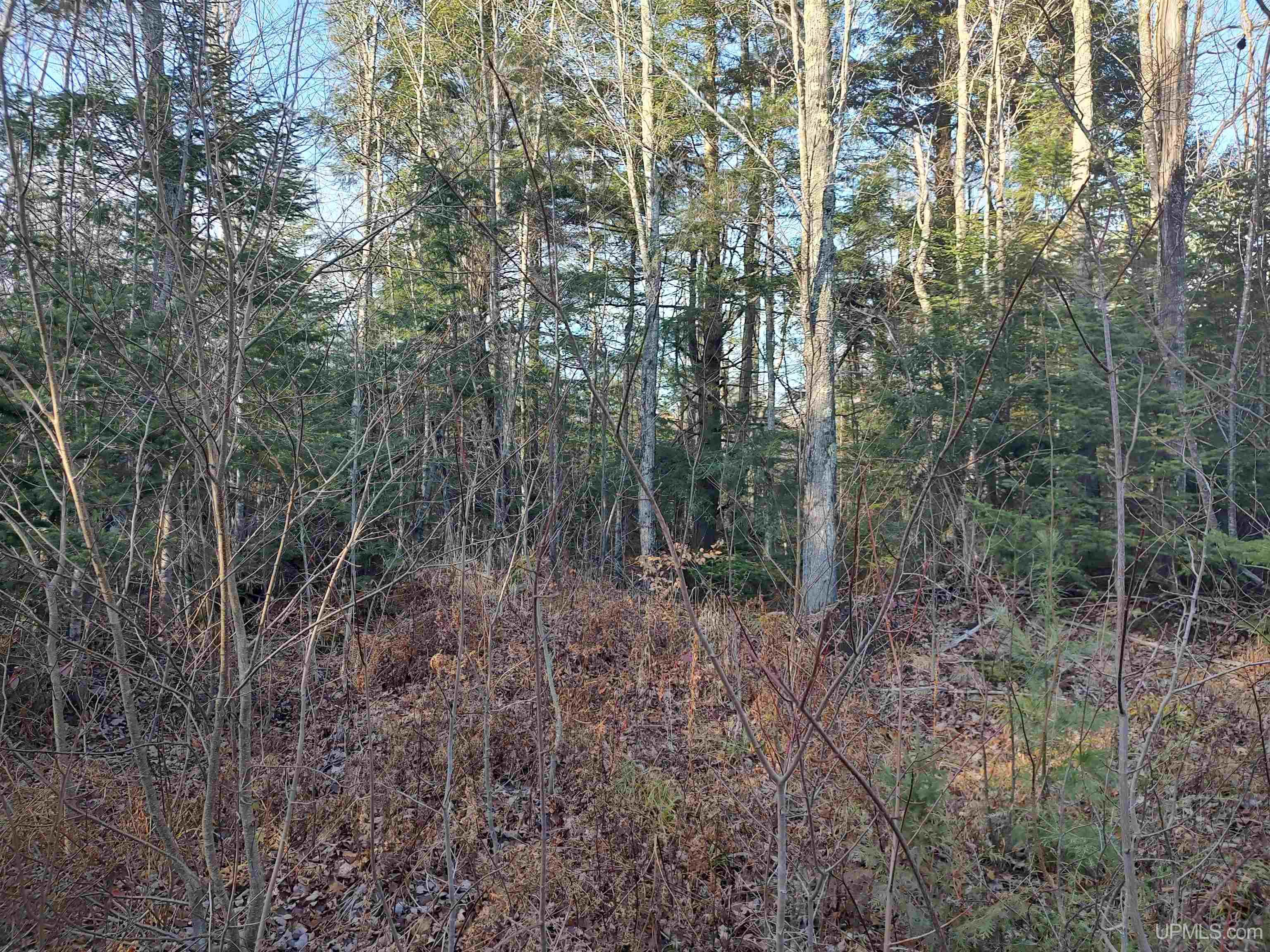 Tbd Billie Helmer Road Deerton, MI 49822 - Photo 9 of 20