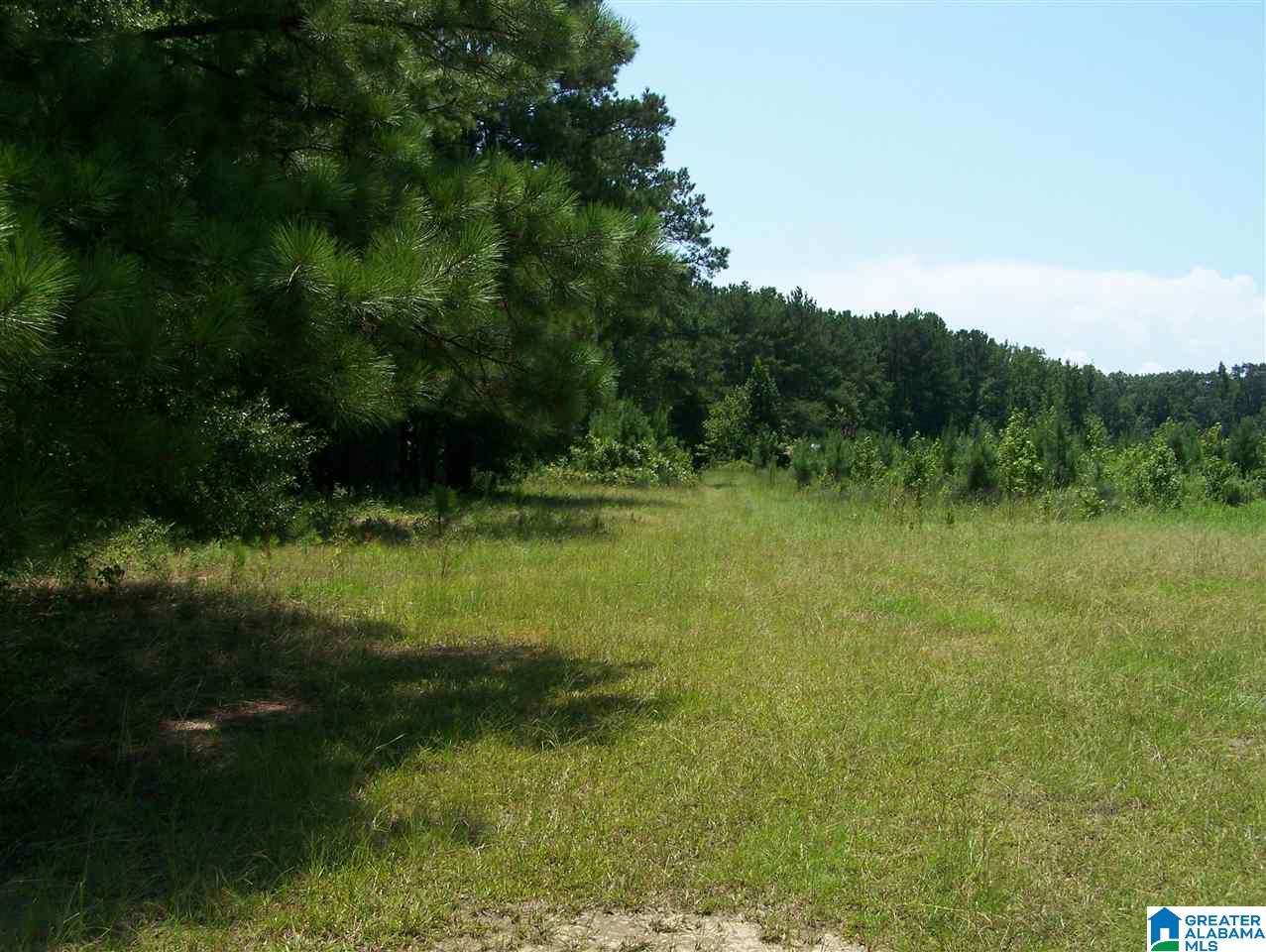 300 Pope Road Ohatchee, AL 36271 - Photo 40 of 45