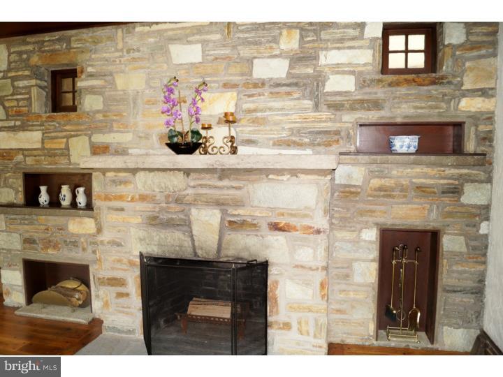 203 Rogers Road Trooper, PA 19403 - Photo 8 of 25 Fireplace