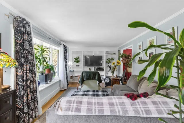 a living room with furniture and a potted plant