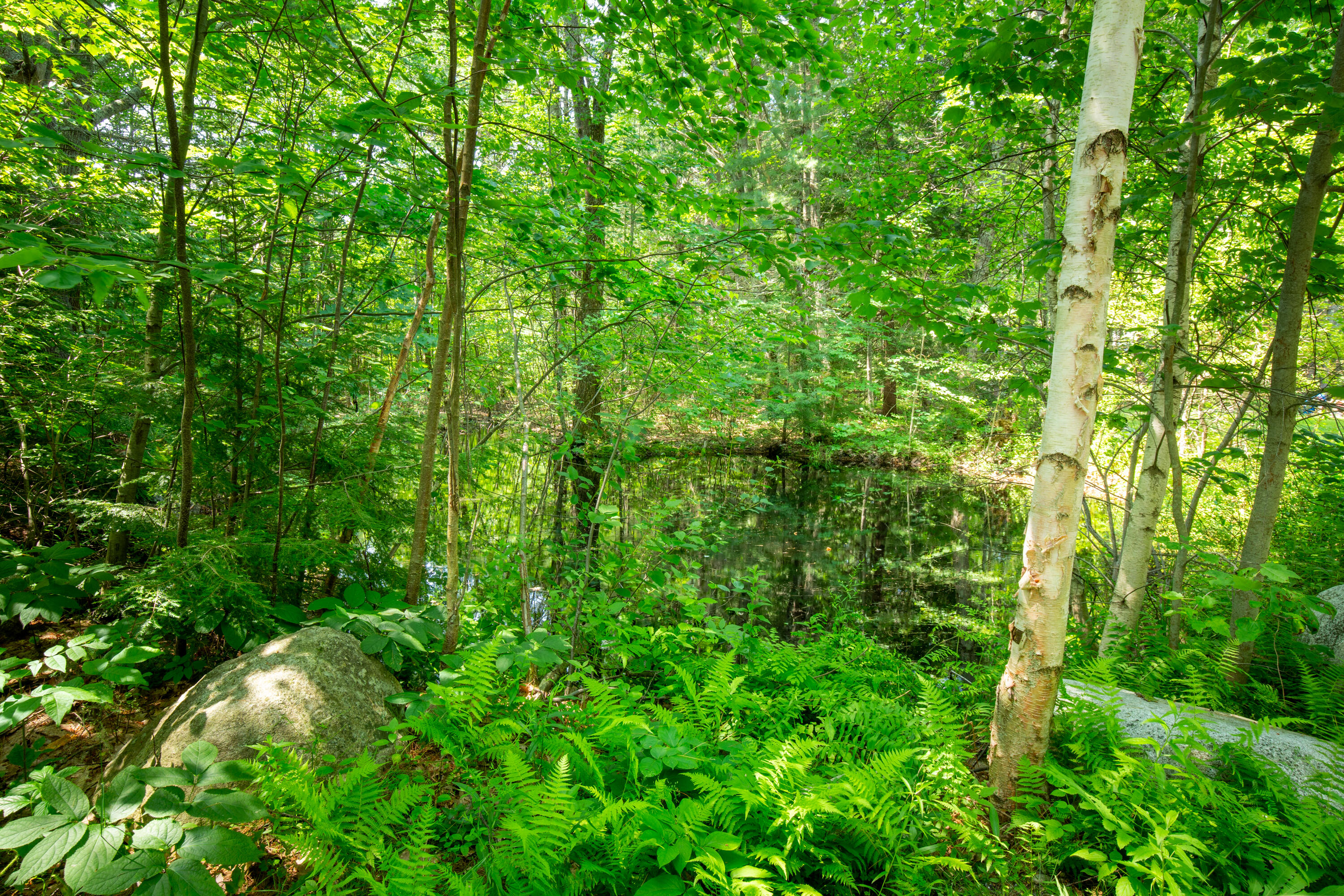 117 Durham Road Freeport, ME 04032 - Photo 43 of 44 117 Durham Road • Freeport • Maine