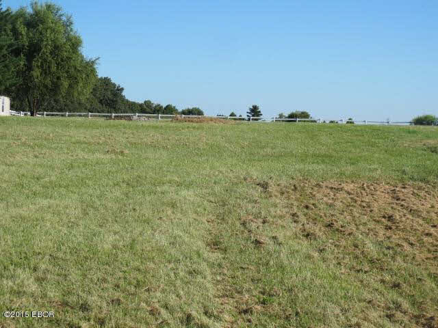 704 Clark School Road De Soto, IL 62924 - Photo 21 of 32