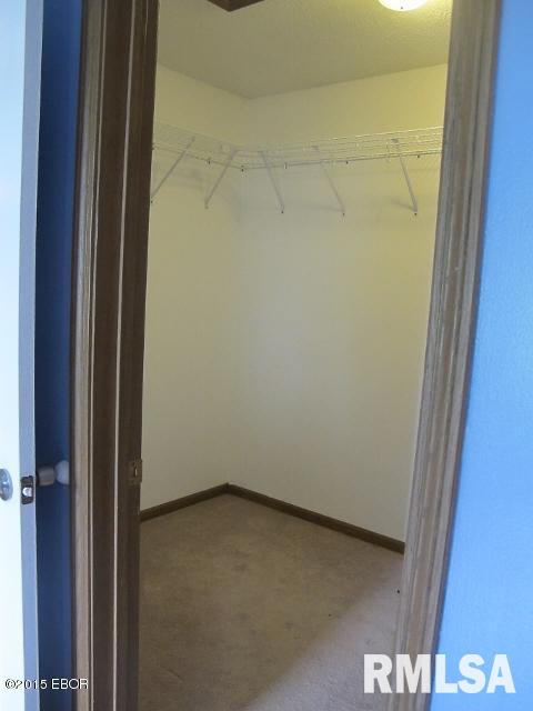 704 Clark School Road De Soto, IL 62924 - Photo 10 of 32