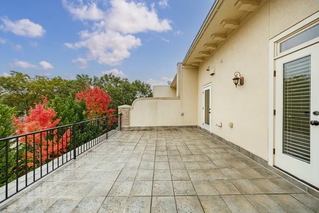 a view of a backyard with large trees