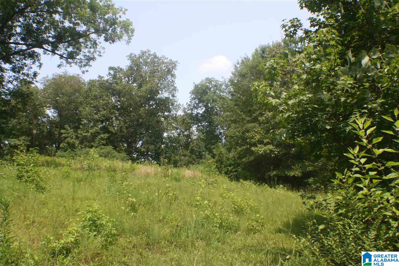 700 Willingham Road Talladega, AL 35160 - Photo 22 of 32 Gallery Image 22
