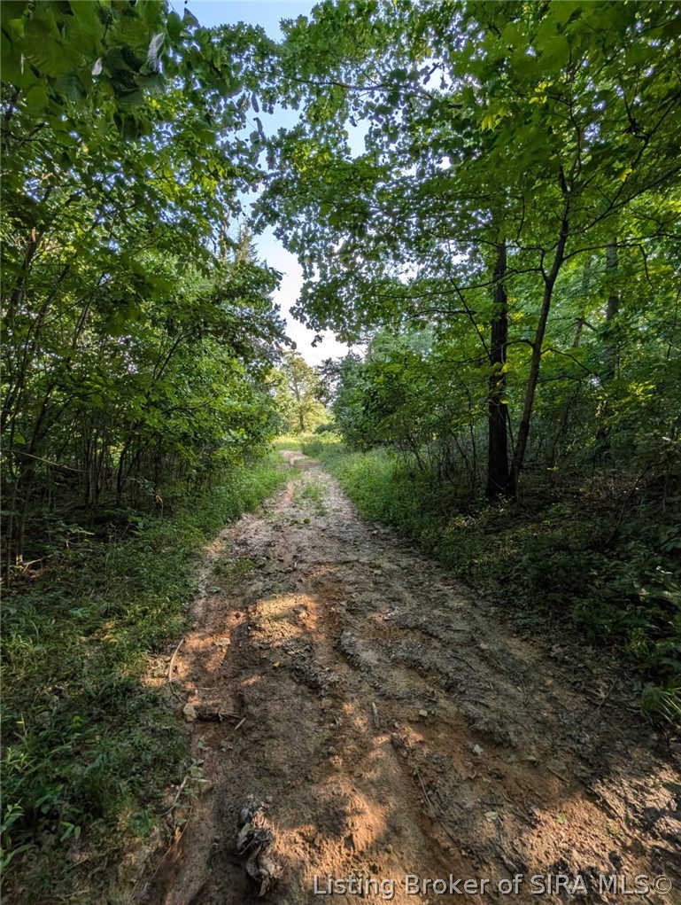 250 S West Co Road Paoli, IN 47454 - Photo 14 of 38 ATV TRAILS