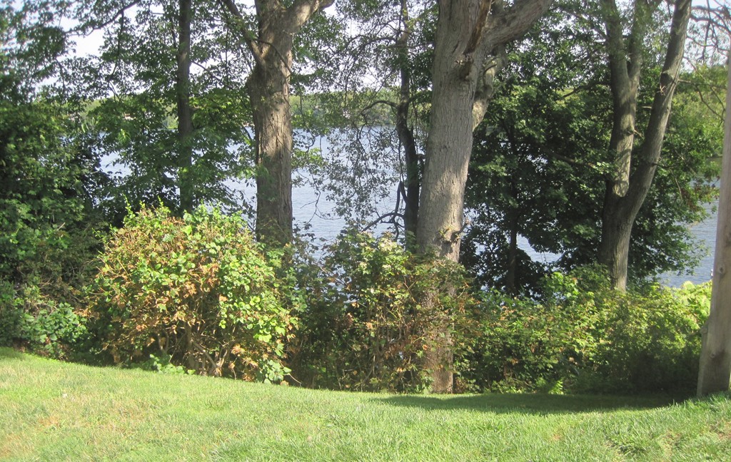 344 Bridle Path Worcester, MA 01604 - Photo 17 of 17 Gallery Image 17