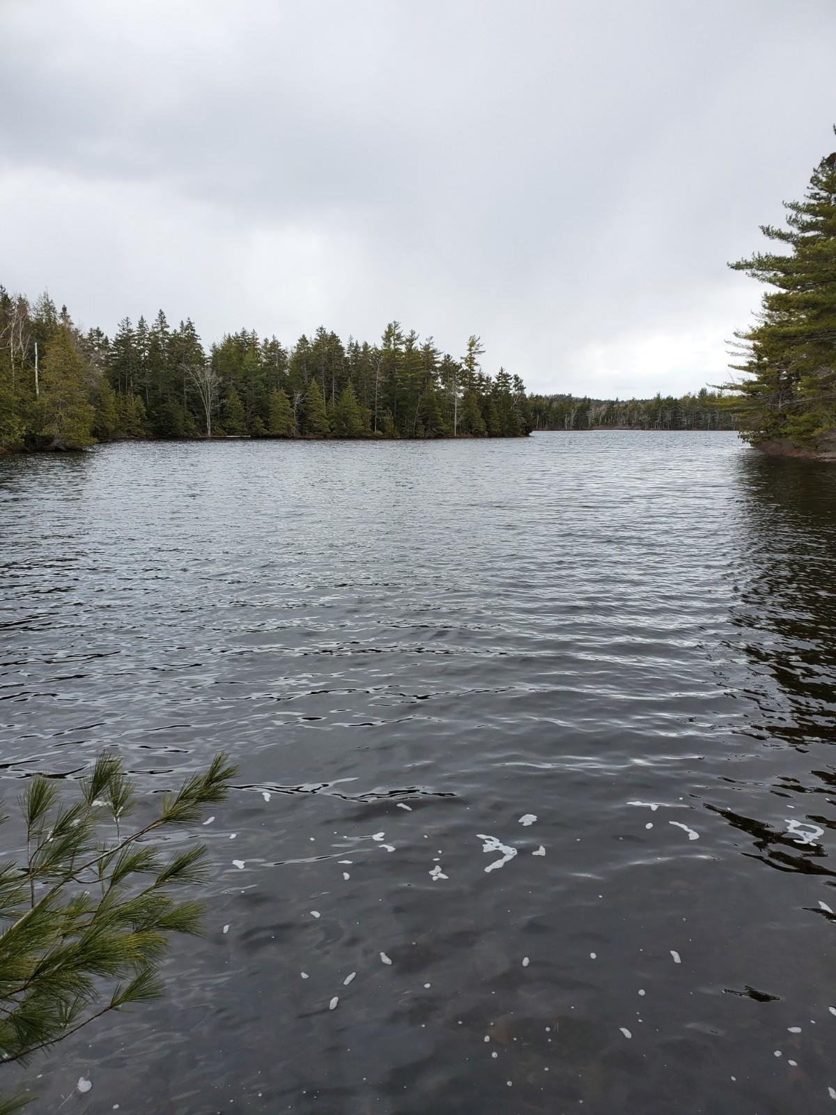 Lot 1 Deer Point Road Robbinston, ME 04671 - Photo 17 of 21 20200422_123323