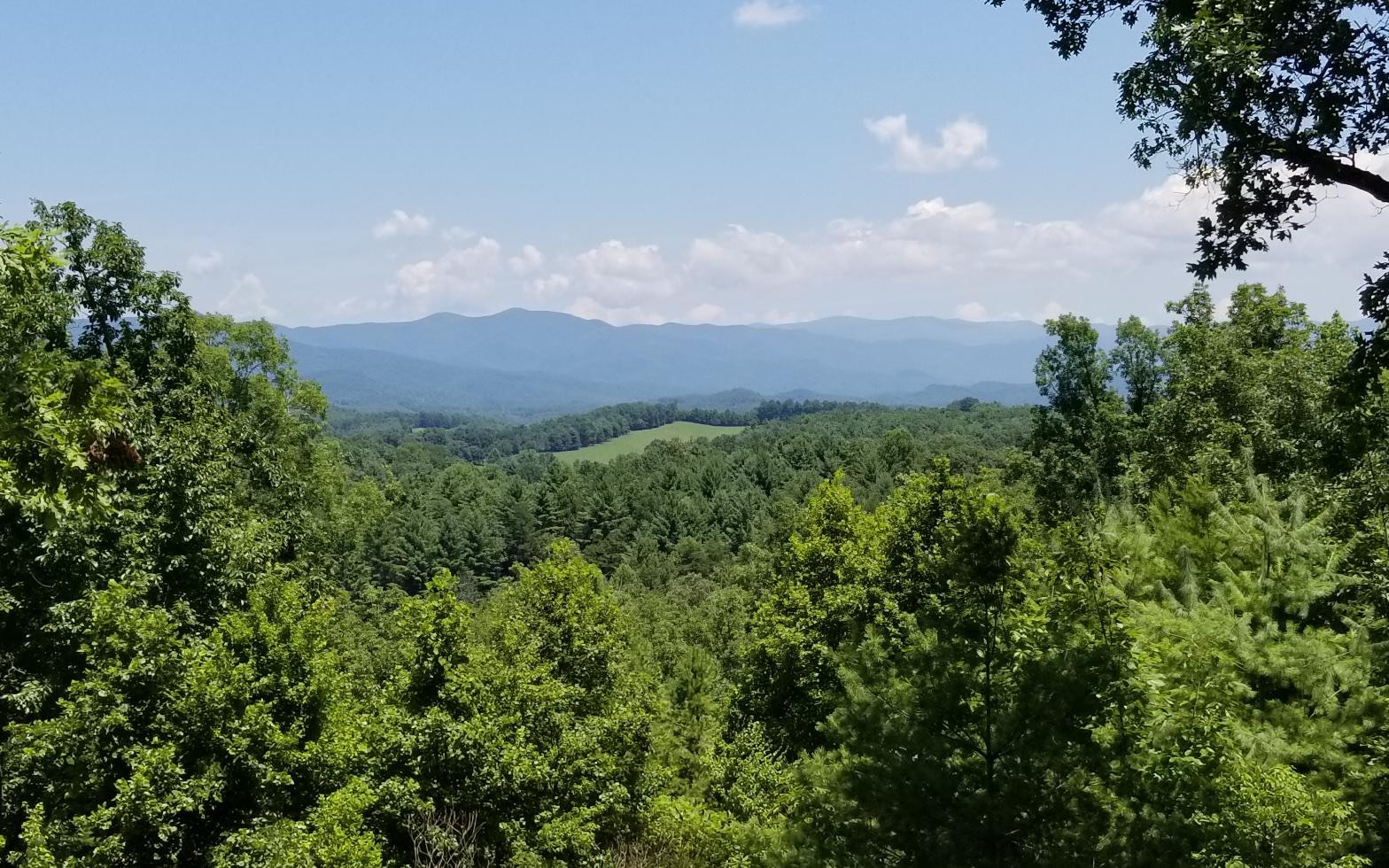 413 Confederate Circle Blue Ridge, GA 30513 - Photo 1 of 1 a view of a green field with lots of bushes