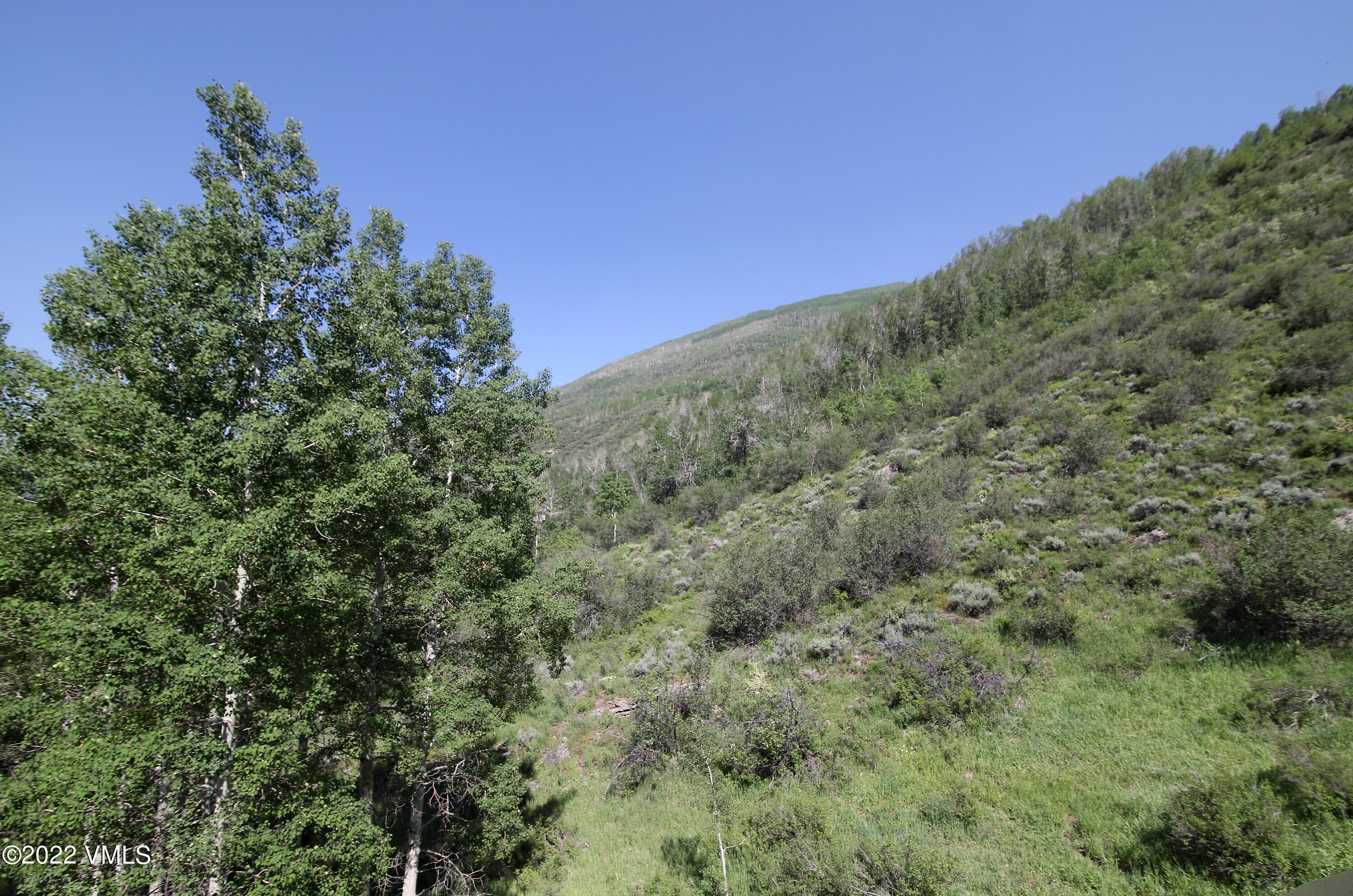 2875 Manns Ranch Road, Unit H3 Vail, CO 81657 - Photo 18 of 18 a view of a field with a tree in the background