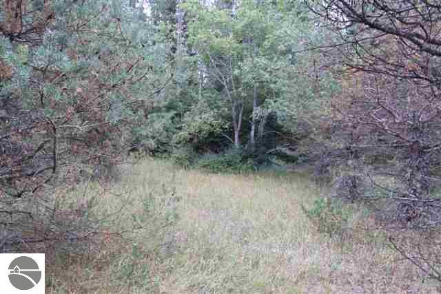 4773 North 5 1/2 Road Mesick, MI 49668 - Photo 12 of 25 1739206-11.JPG