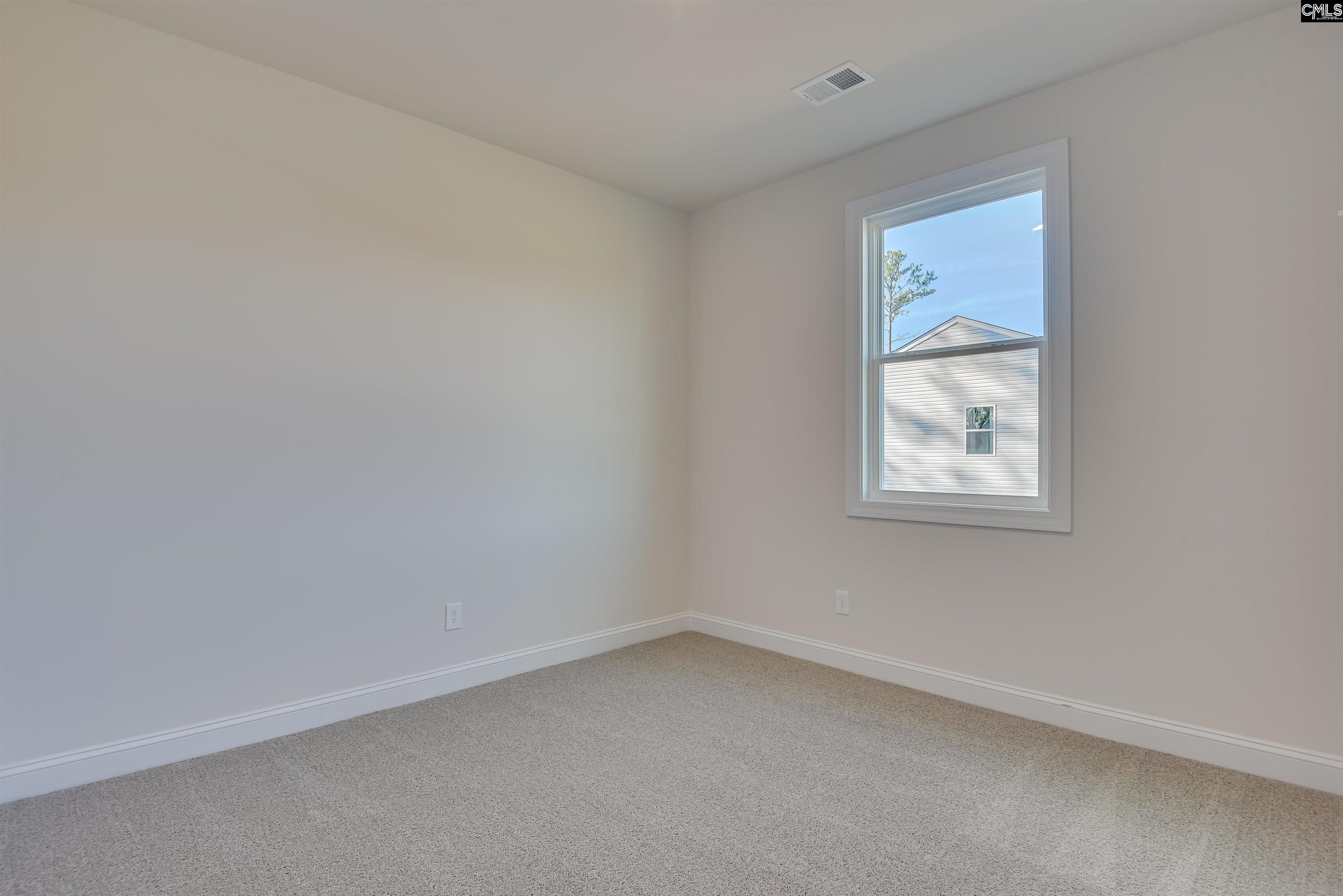 617 Basalt Court Chapin, SC 29036 - Photo 29 of 46