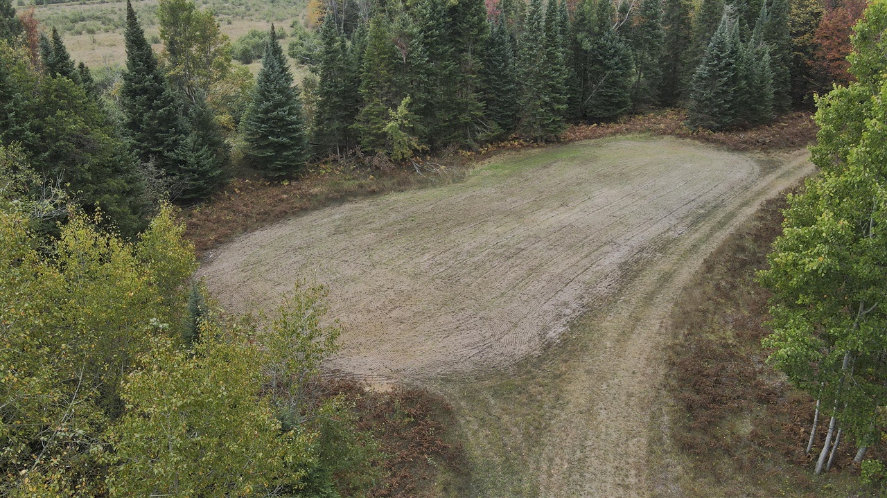 11048 Wilson Road Lake City, MI 49651 - Photo 43 of 89 Gallery Image 43