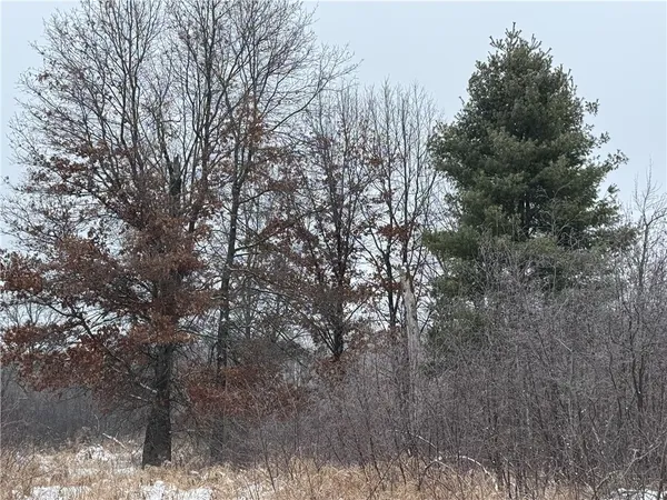 $699,000 | 10221 Hwy 73 Granton Wi 54436, Pittsville, WI 54466