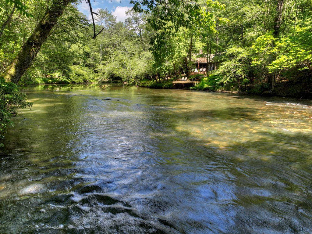 653 Martin Road Ellijay, GA 30536 - Photo 46 of 52 Gallery Image 46