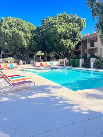 a view of a swimming pool with a yard and plants