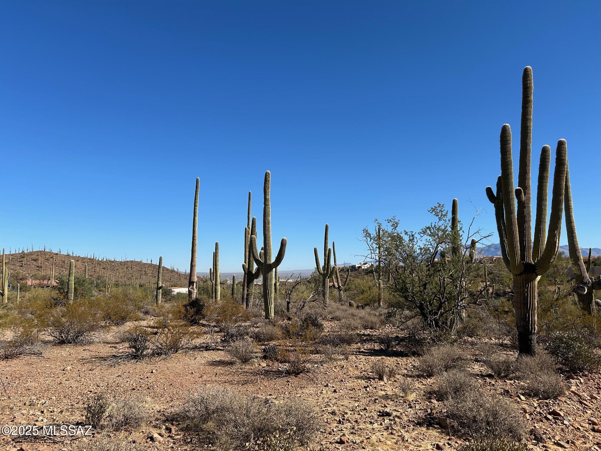 4146 North Gerhart Road Tucson, AZ 85745 - Photo 6 of 18 Gallery Image 6