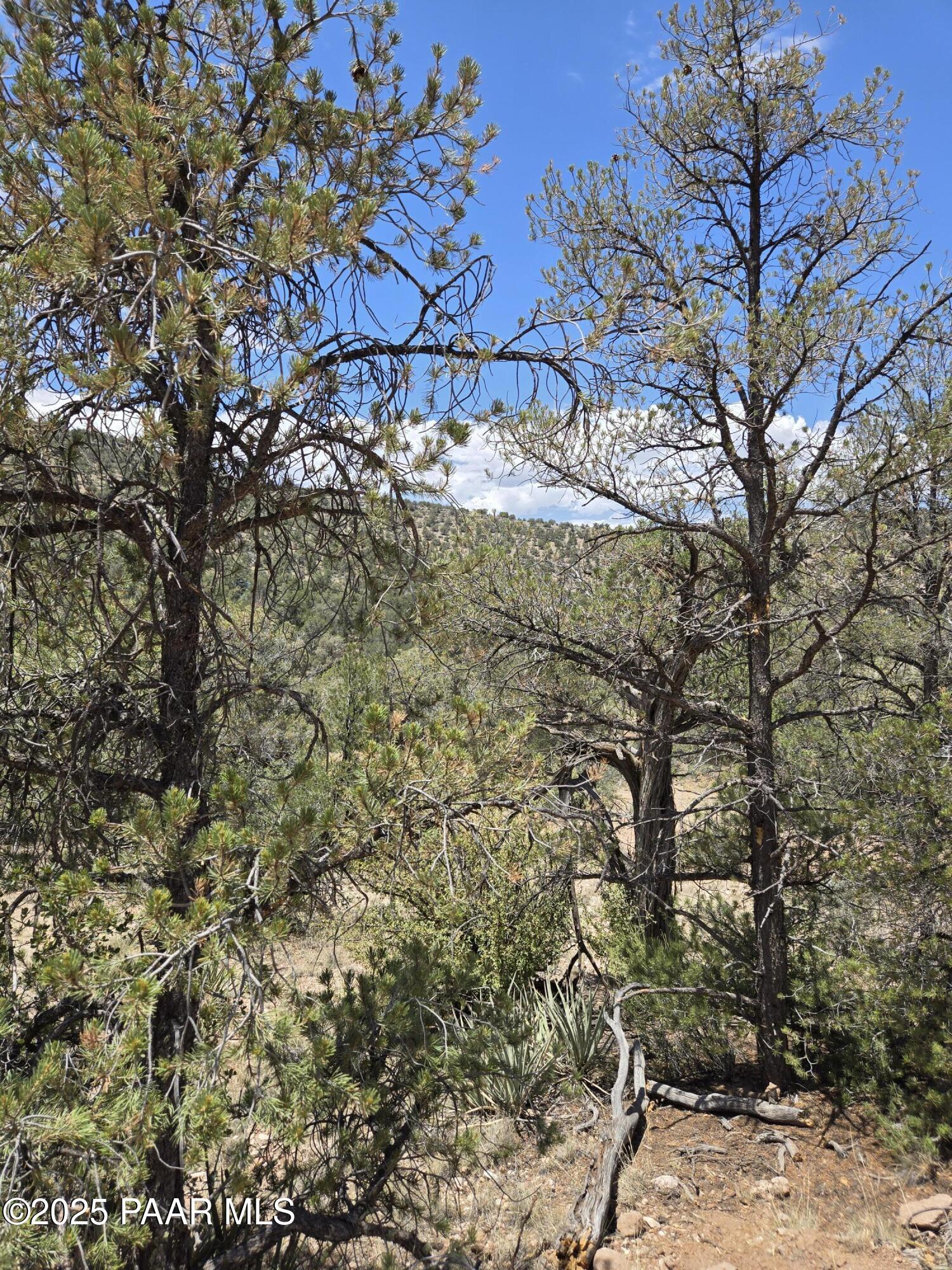 207 A Arizona Road Ash Fork, AZ 86320 - Photo 11 of 18 20250630_113450