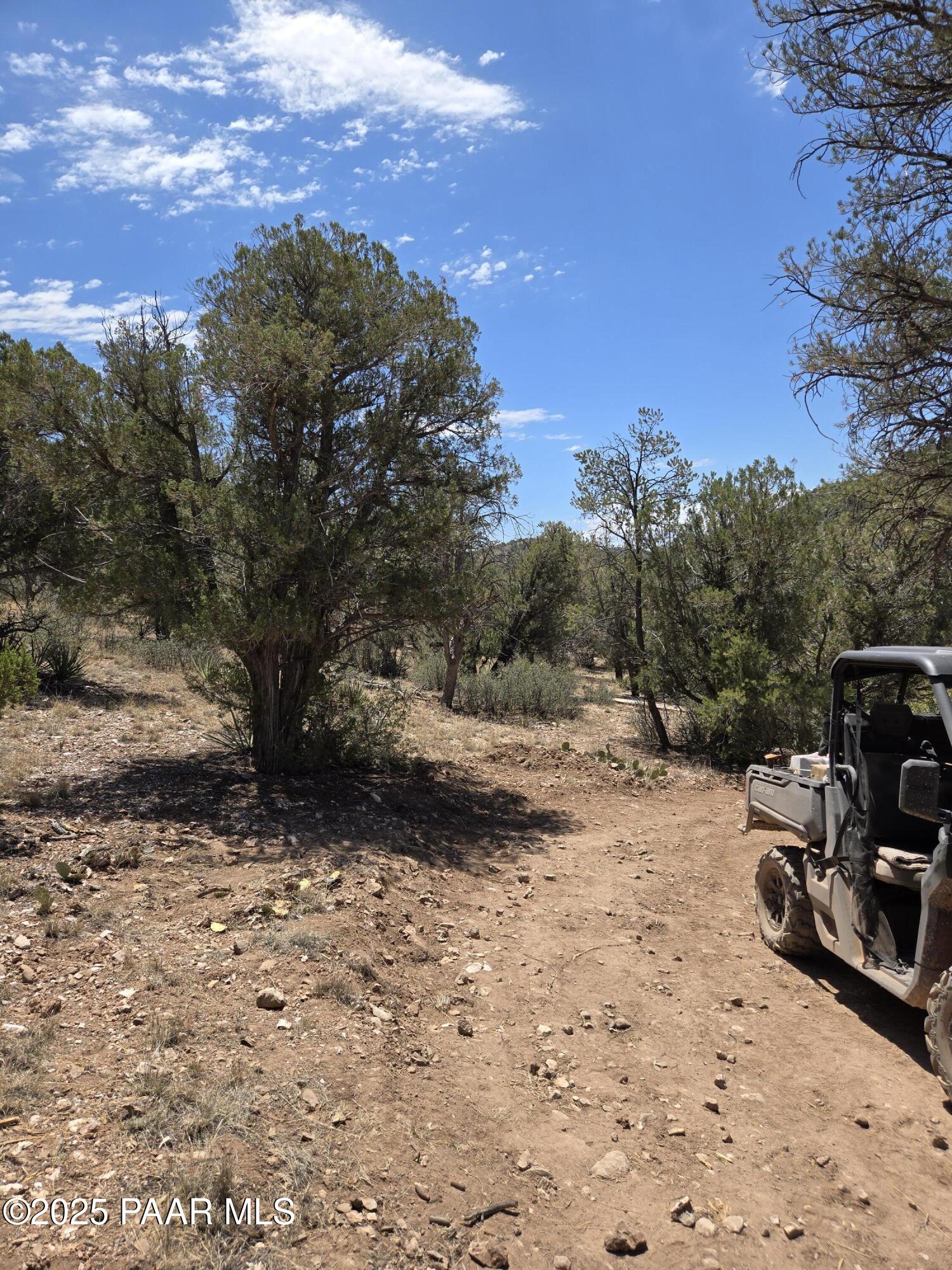 207 A Arizona Road Ash Fork, AZ 86320 - Photo 13 of 18 20250630_113425