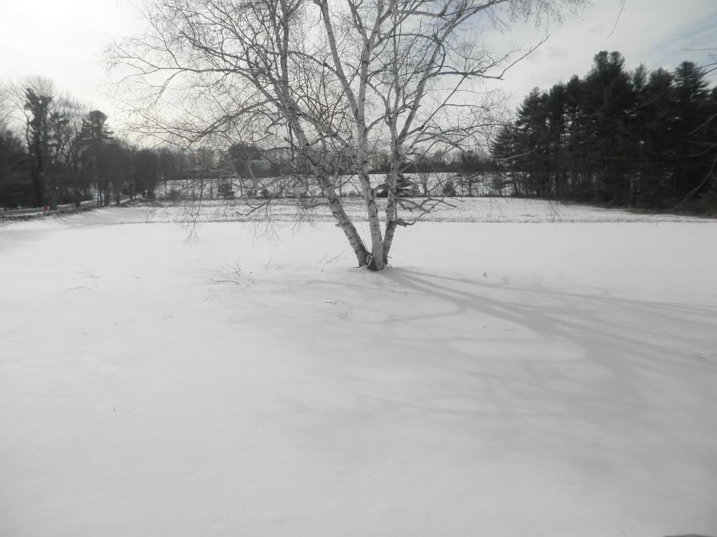 62 Stickney Hill Road Concord, NH 03301 - Photo 18 of 22