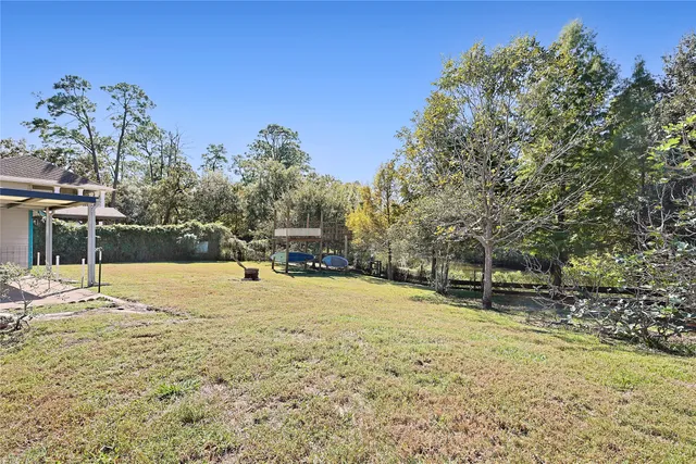 a view of a yard with plants and trees