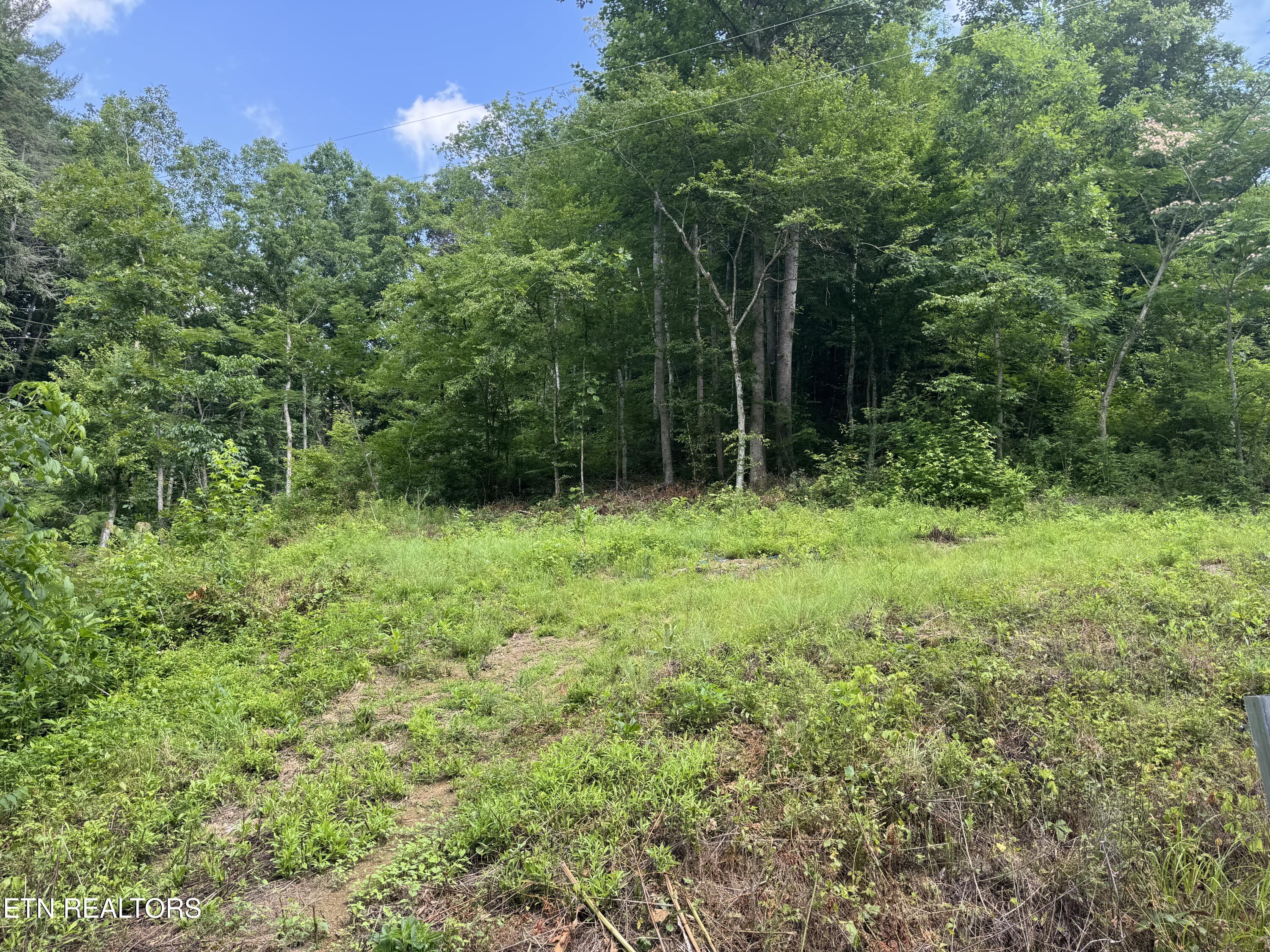 332 Padgett Mill Road Cosby, TN 37722 - Photo 36 of 41 IMG_0395