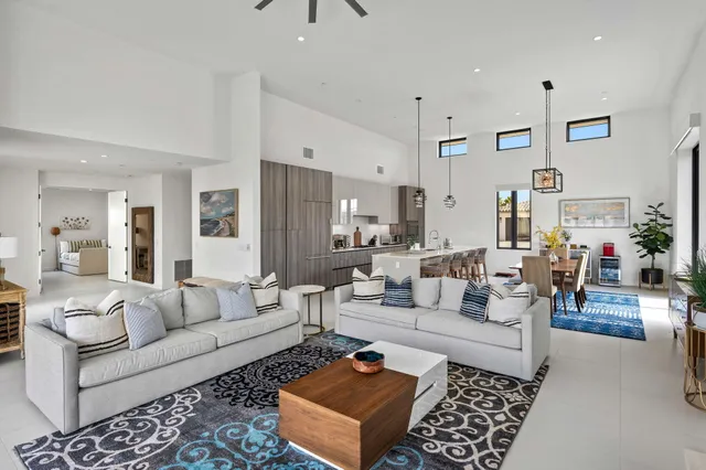 a living room with furniture potted plant and a rug