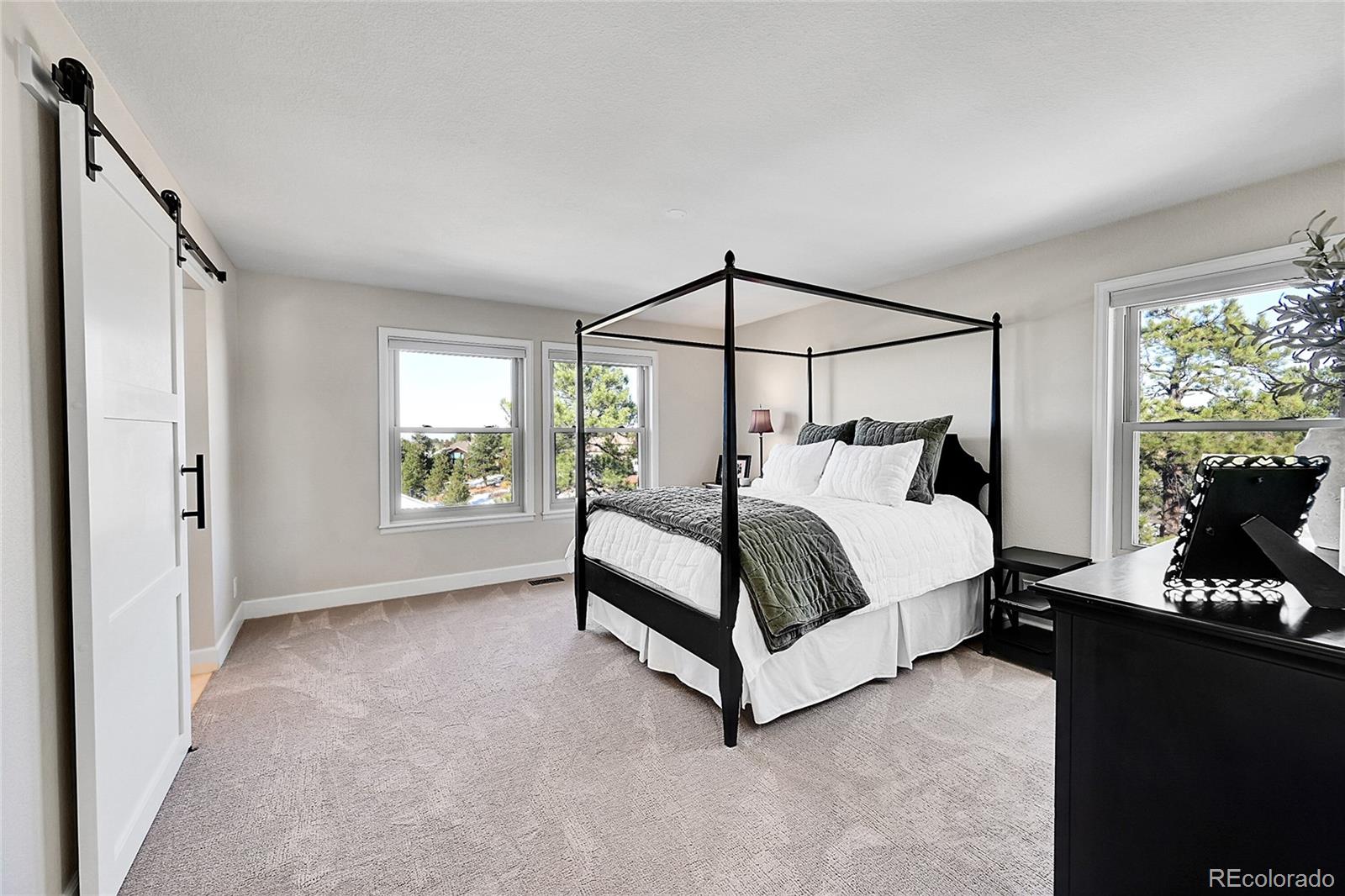 8717 Thunderbird Circle Parker, CO 80134 - Photo 24 of 50 a bedroom with a bed and a window