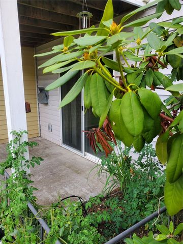 a plant that is in front of a house