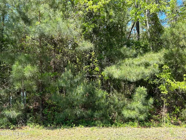 $20,000 | 10 Heritage Drive, Laurinburg, NC 28352