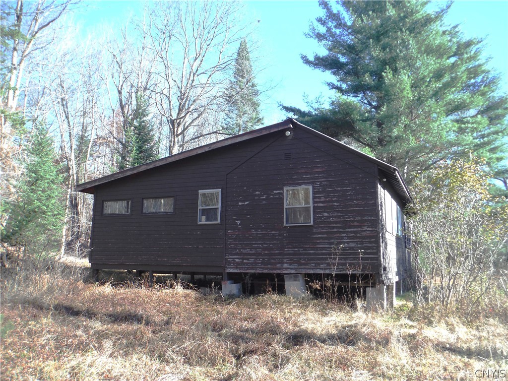 X Buck Lake Road Port Leyden, NY 13433 - Photo 41 of 50 cabin side1