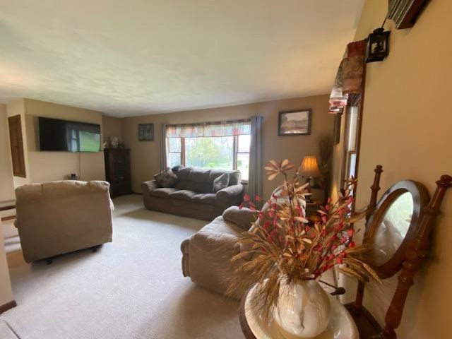 6372 Osborne Road Delton, MI 49046 - Photo 15 of 65 IMG_0738