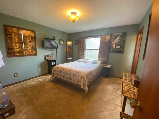 6372 Osborne Road Delton, MI 49046 - Photo 25 of 65 IMG_0755