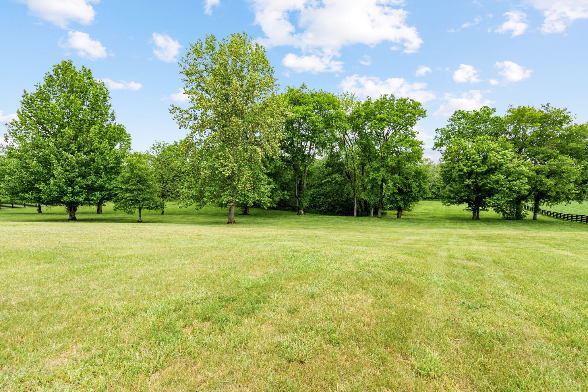 3210 Kinnard Springs Road Franklin, TN 37064 - Photo 52 of 64 a view of outdoor space with deck and trees