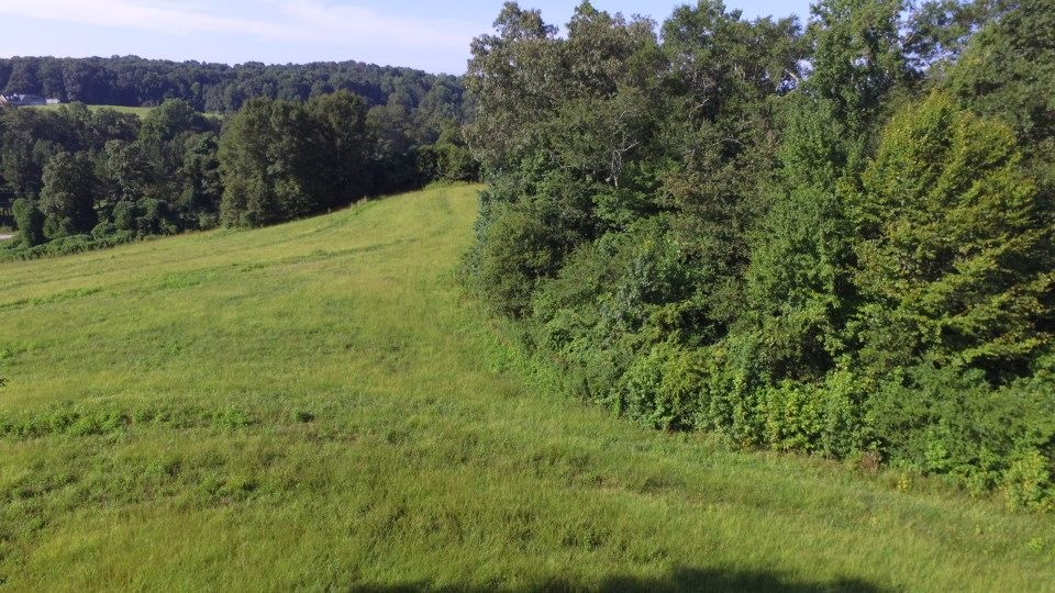 0 Roanoke Road Liberty, SC 29657 - Photo 8 of 14
